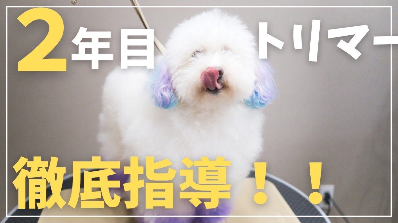 【新企画】マンツーマンでカットのチェック！○○はこれでおさらば！
