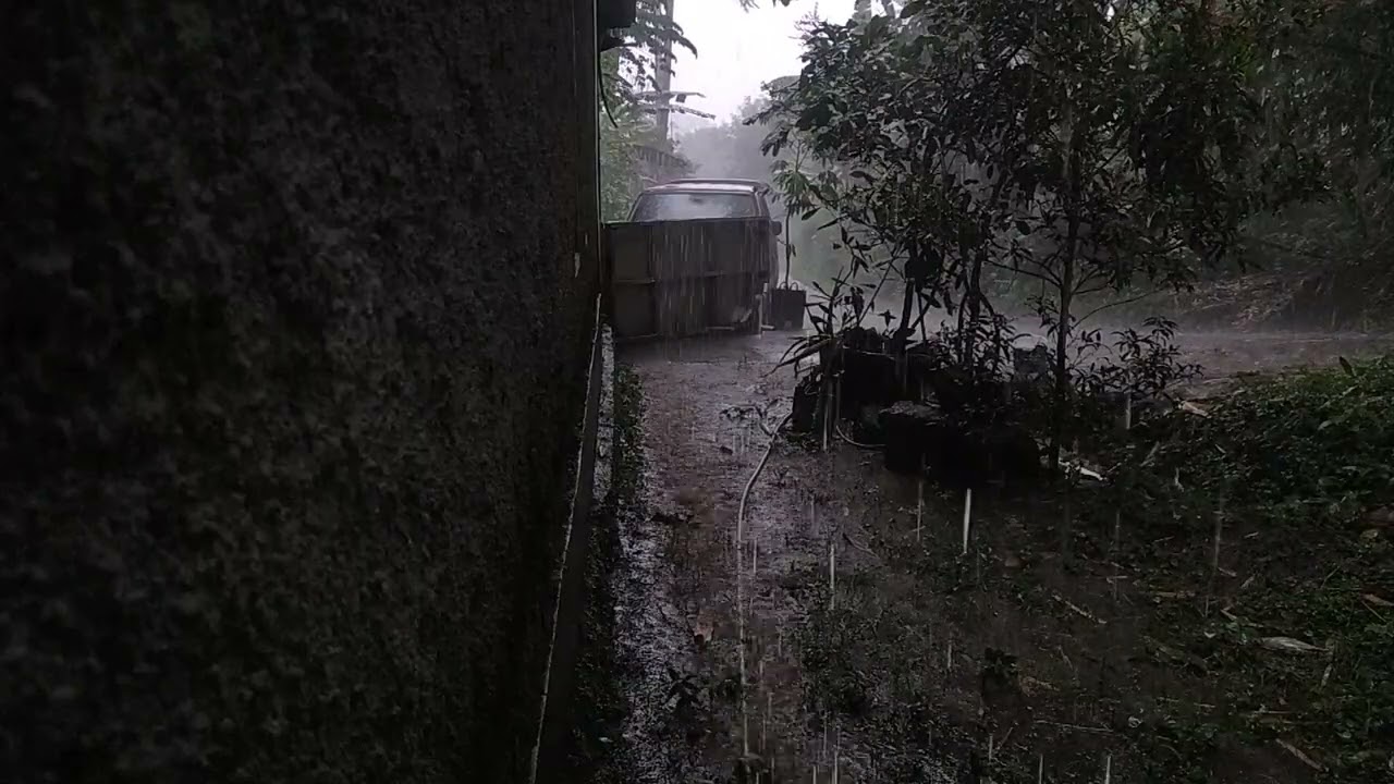 Rain in a Quiet Village by the House 🌧️ | Cozy ASMR Rain Sounds for Sleep