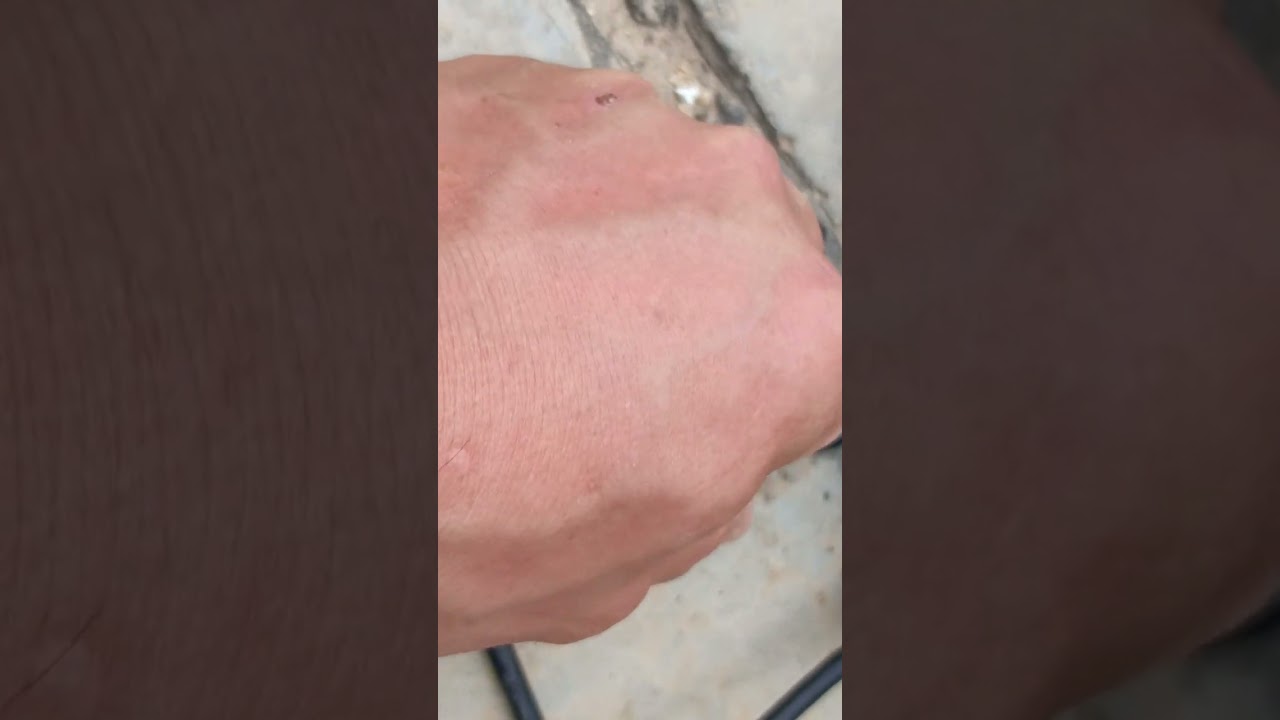 التقاط قمر اموس لزك مع النايل سات بصحن 85سم