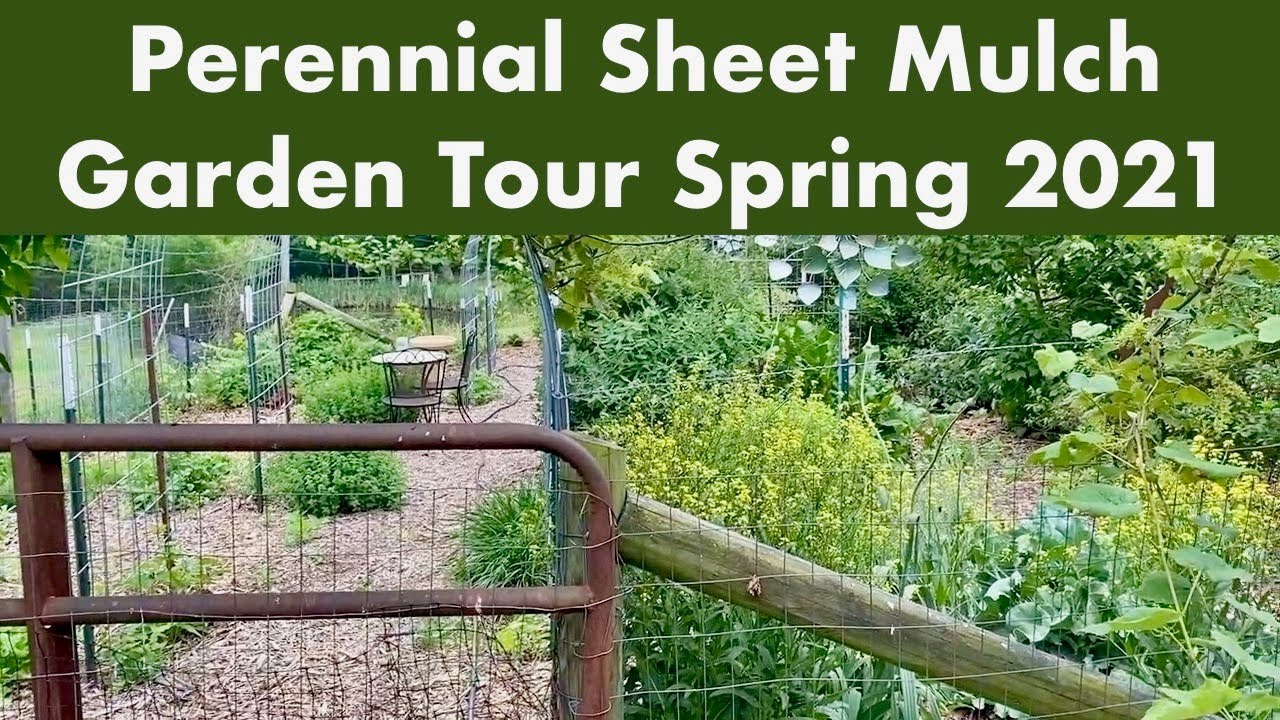Perennial Sheet Mulch Garden Tour Spring 2021