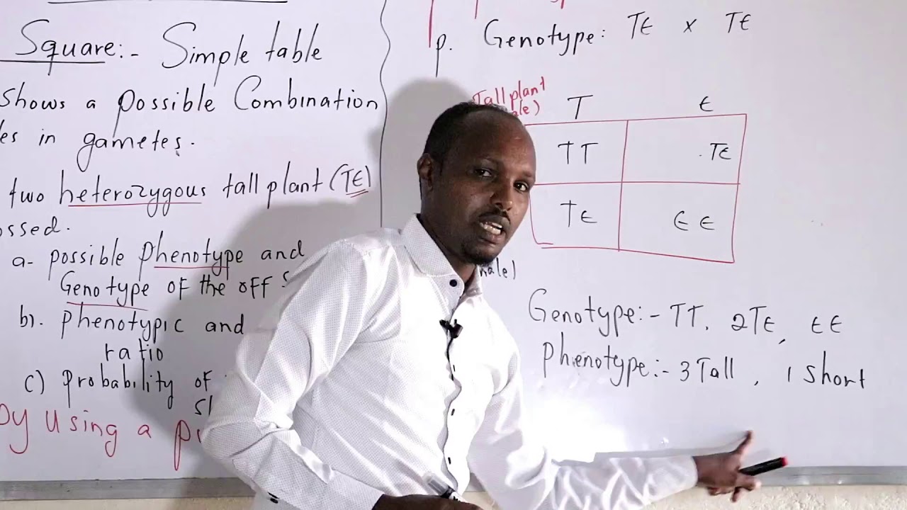 Gahayr Primary and  Secondary School. F4 Biology . : MONOHYBRID CROSS  LESSON 3 .