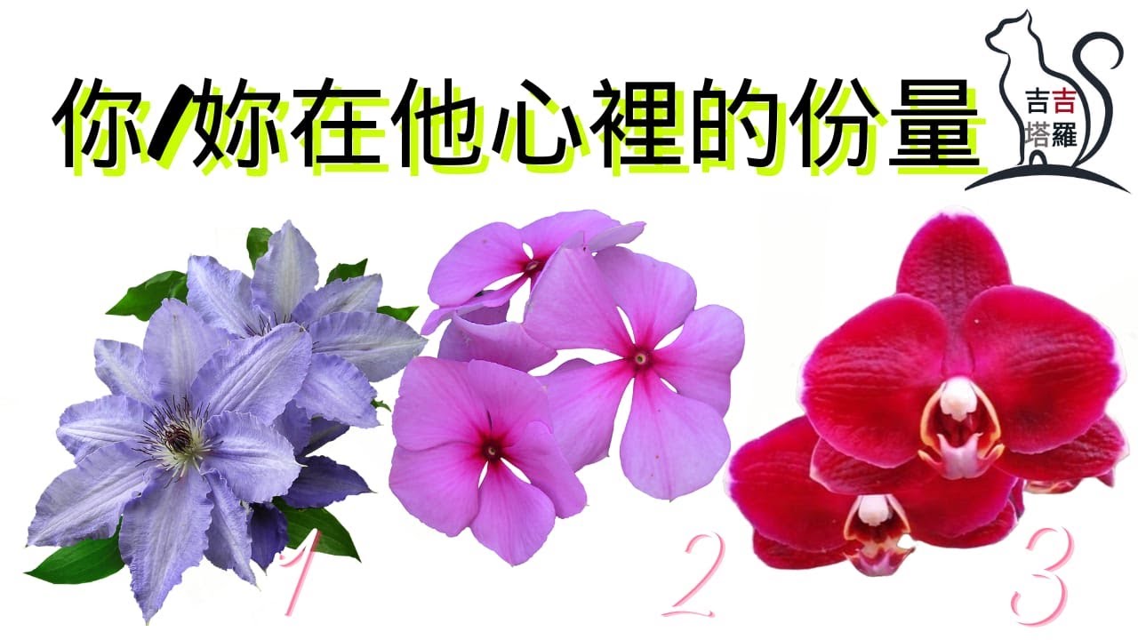【#2283】【塔罗·字卡·占卜】你/妳在他心裡的份量 | 現代愛情塔羅 | 月亮女王神谕卡 | 黛安娜庫柏大天使神諭卡 (無時間限制)