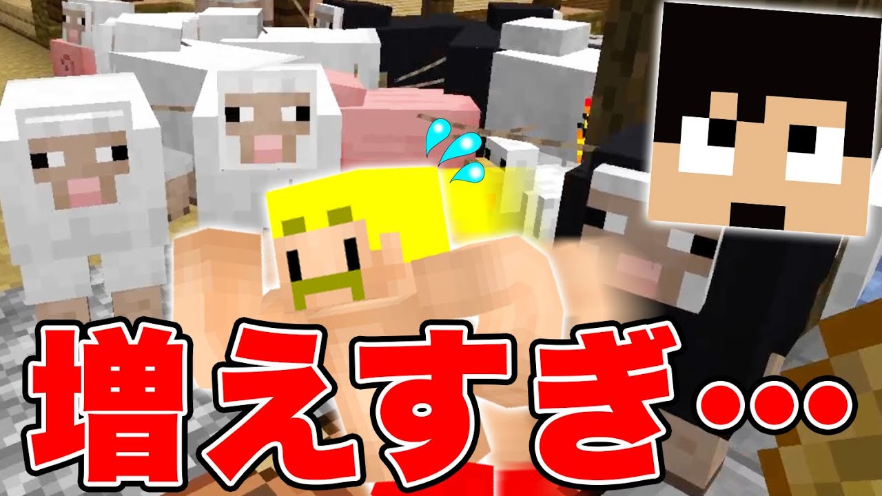 【マイクラ】カズさんワールドが『あつまれどうぶつの森』に！？動物が増えすぎてパニック！【カズクラコラボ2020#80】【ドズぼん】