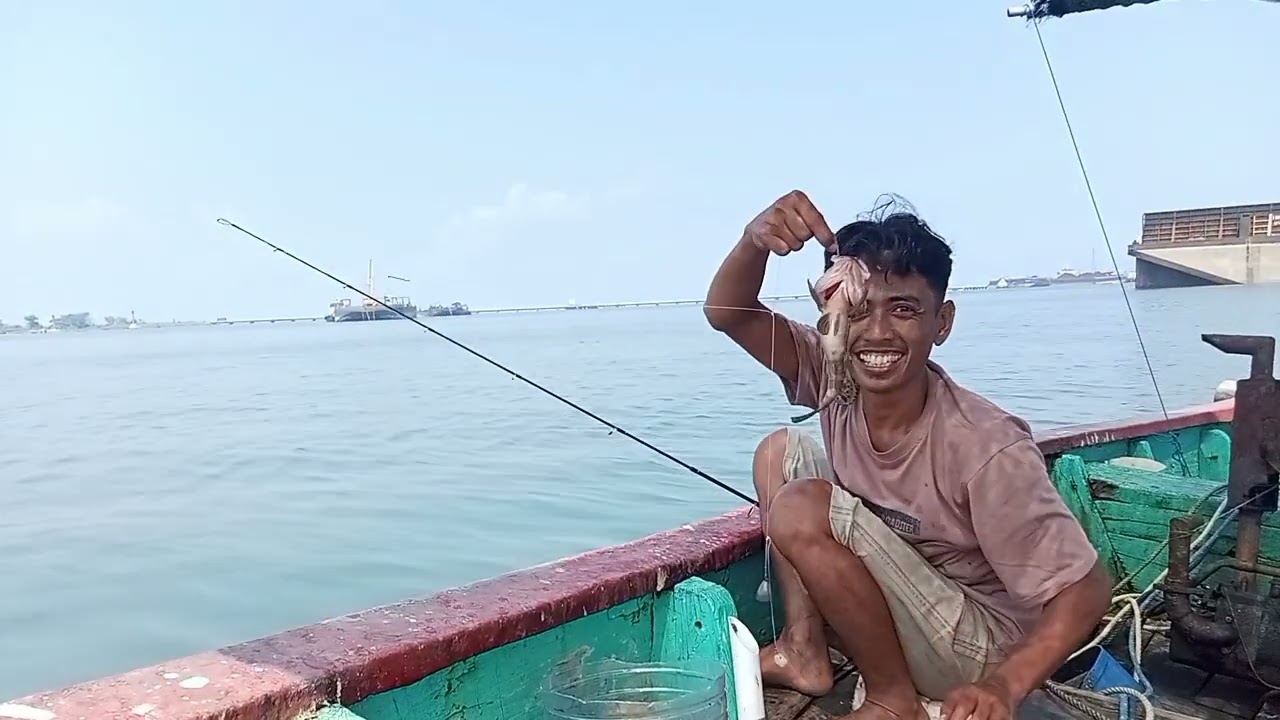 Lagi lagi menyelamatkan ikan kurisi