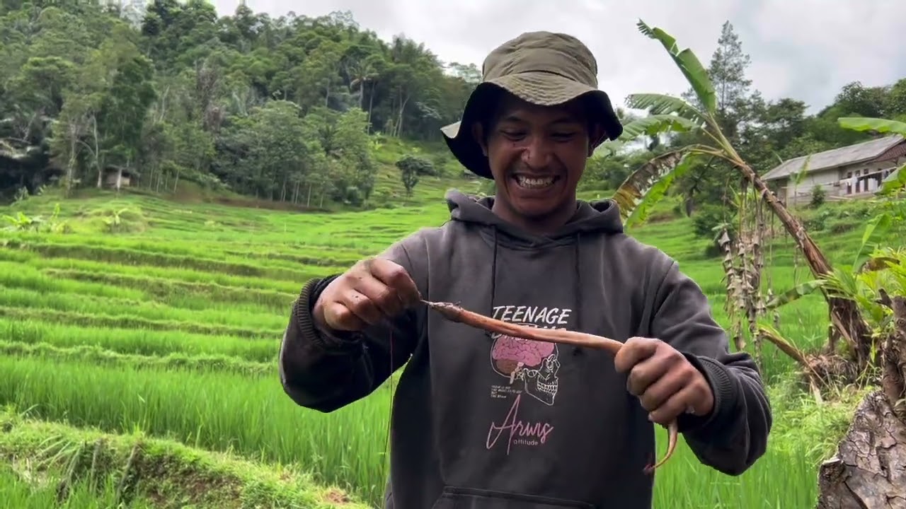 Ngurek di suguhi pemandangan yang sangat indah#ngurekbelut #petualangan