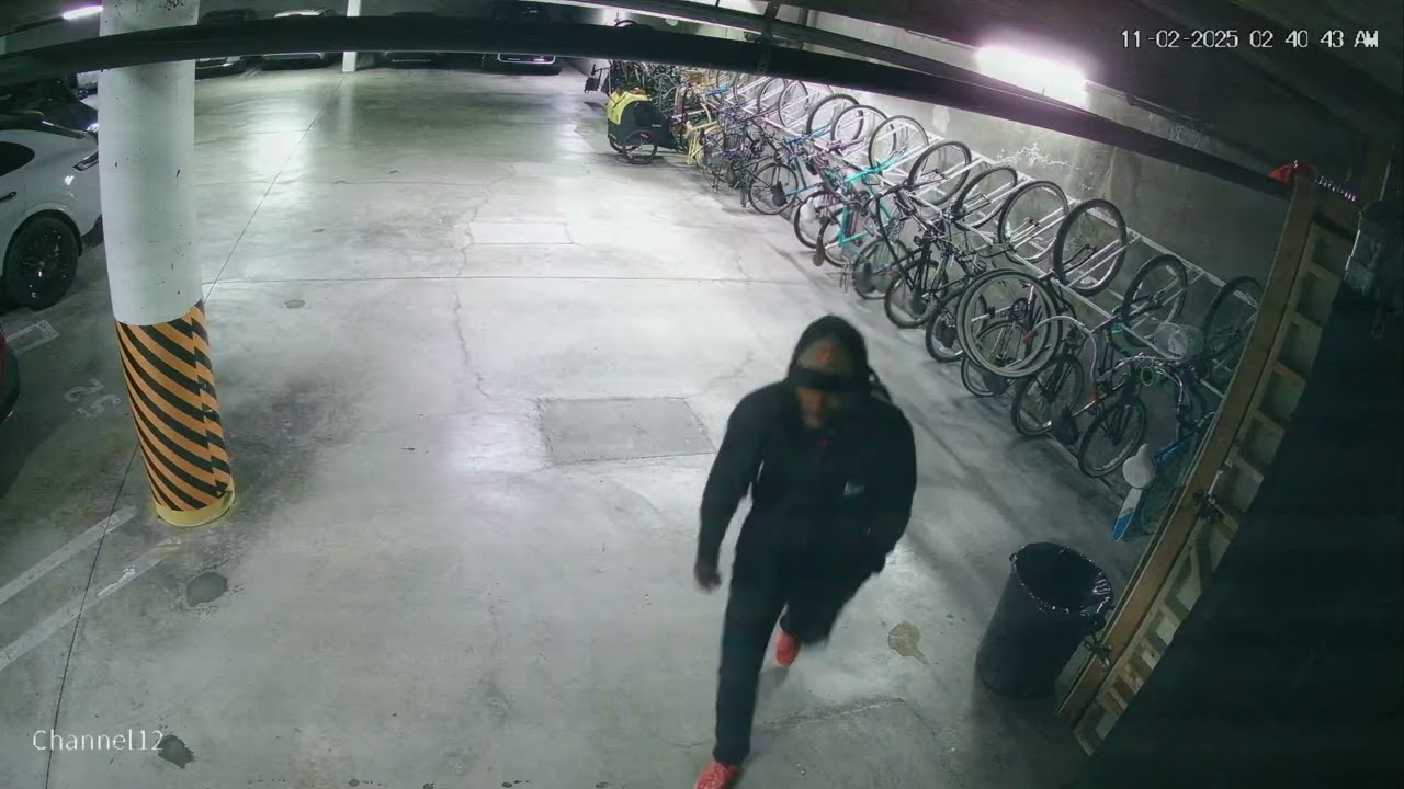 🚲 Stolen Bicycle – Long Beach | November 2, 2025