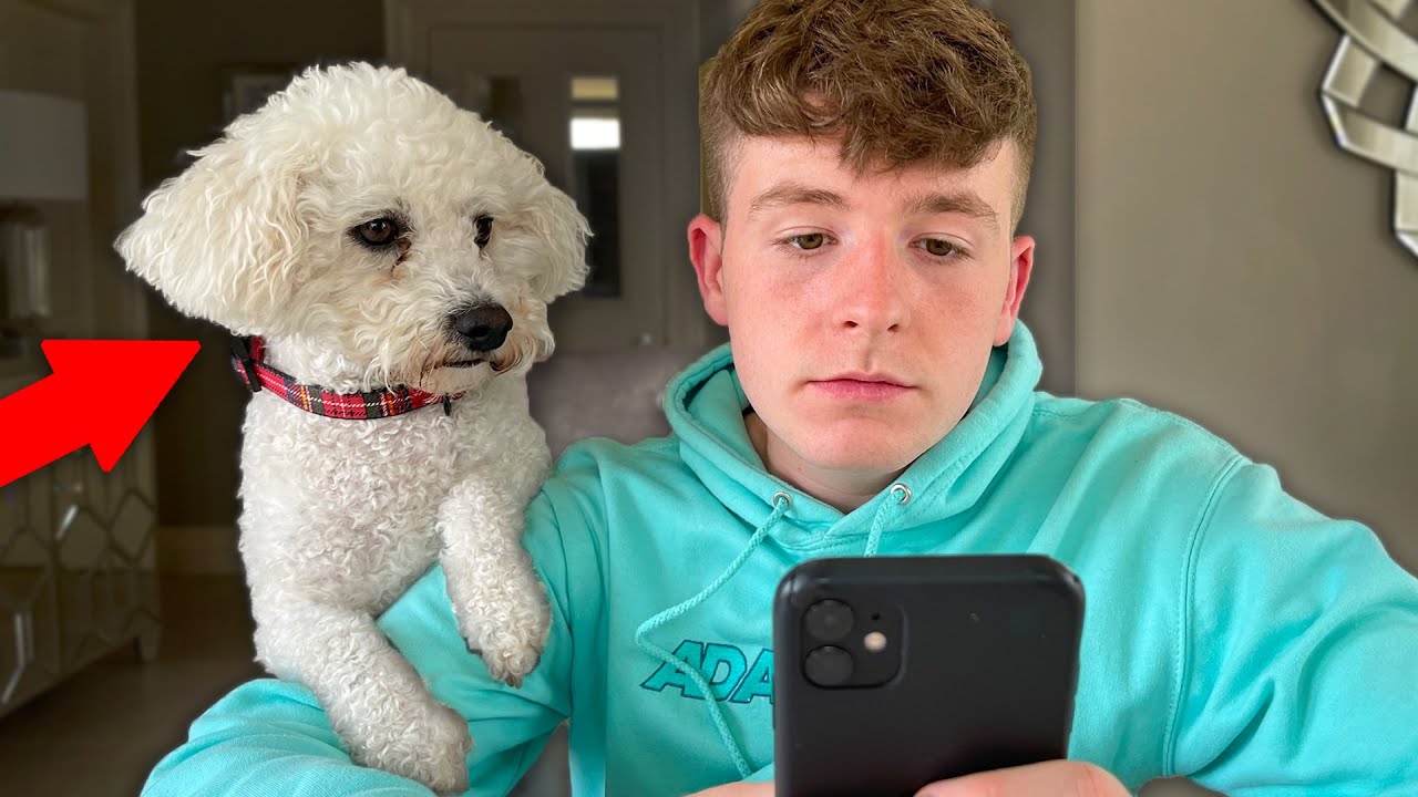 IGNORING MY DOG FOR 24 HOURS!!