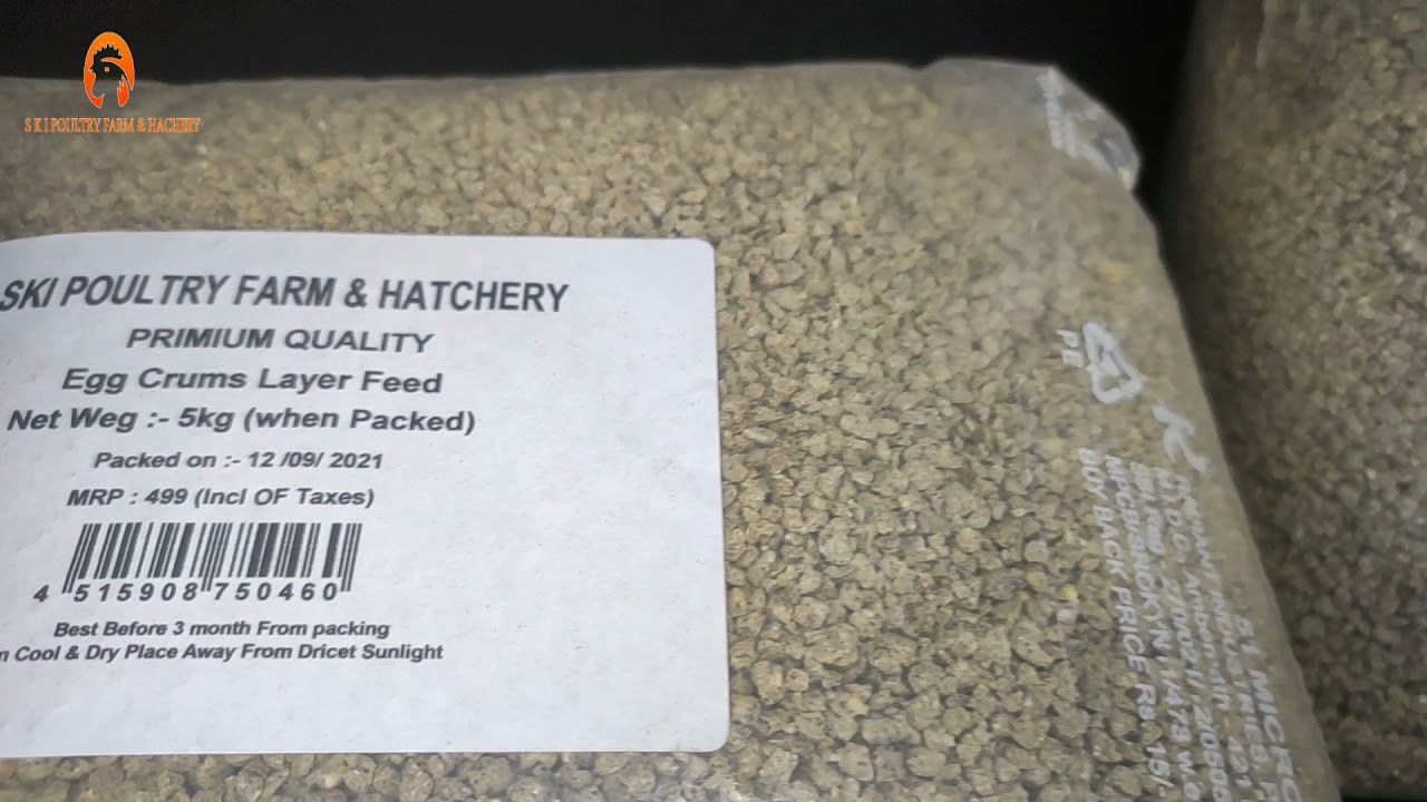 Egg Crum Layer Feed For poultry #skipoultryfarmandhatchery #fancybirds #poultryfeed