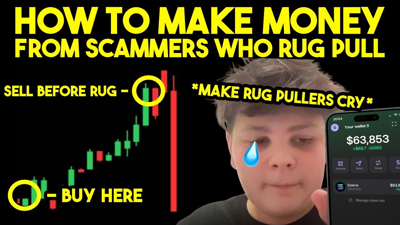 How To Make Money From Scammers Before They Rug Pull Memecoins! (SCAMMER REVENGE)