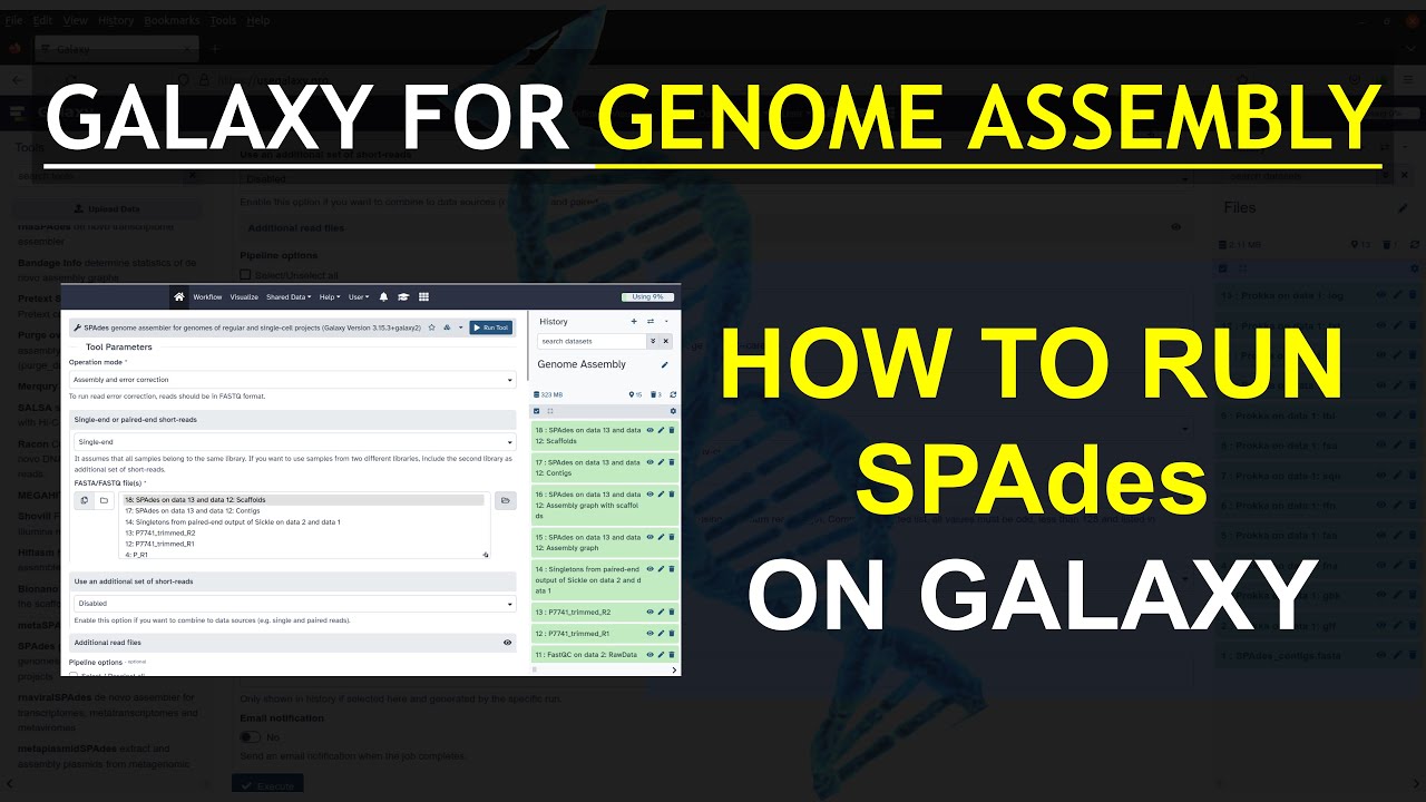 Galaxy Tutorials |  Genome Assembly with SPADEs | Bioinformatics for Beginners