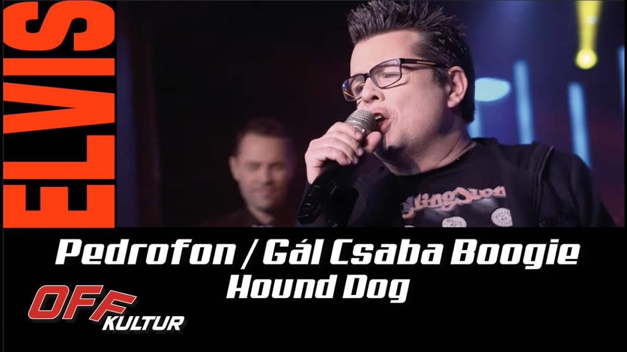 Gál Csaba Boogie | Hound Dog | Pedrofon feat.