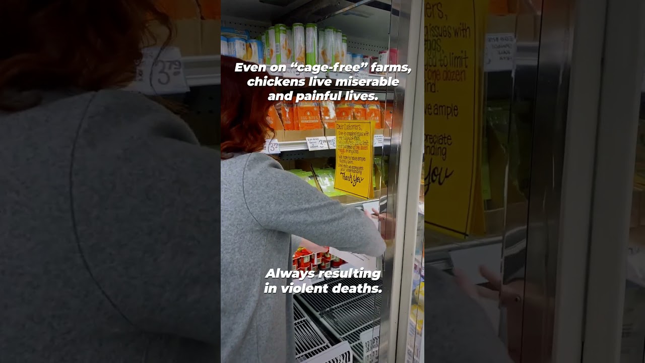 In the middle of this bird flu outbreak, we&rsquo;ve replaced the egg shortage signs with honest ones.