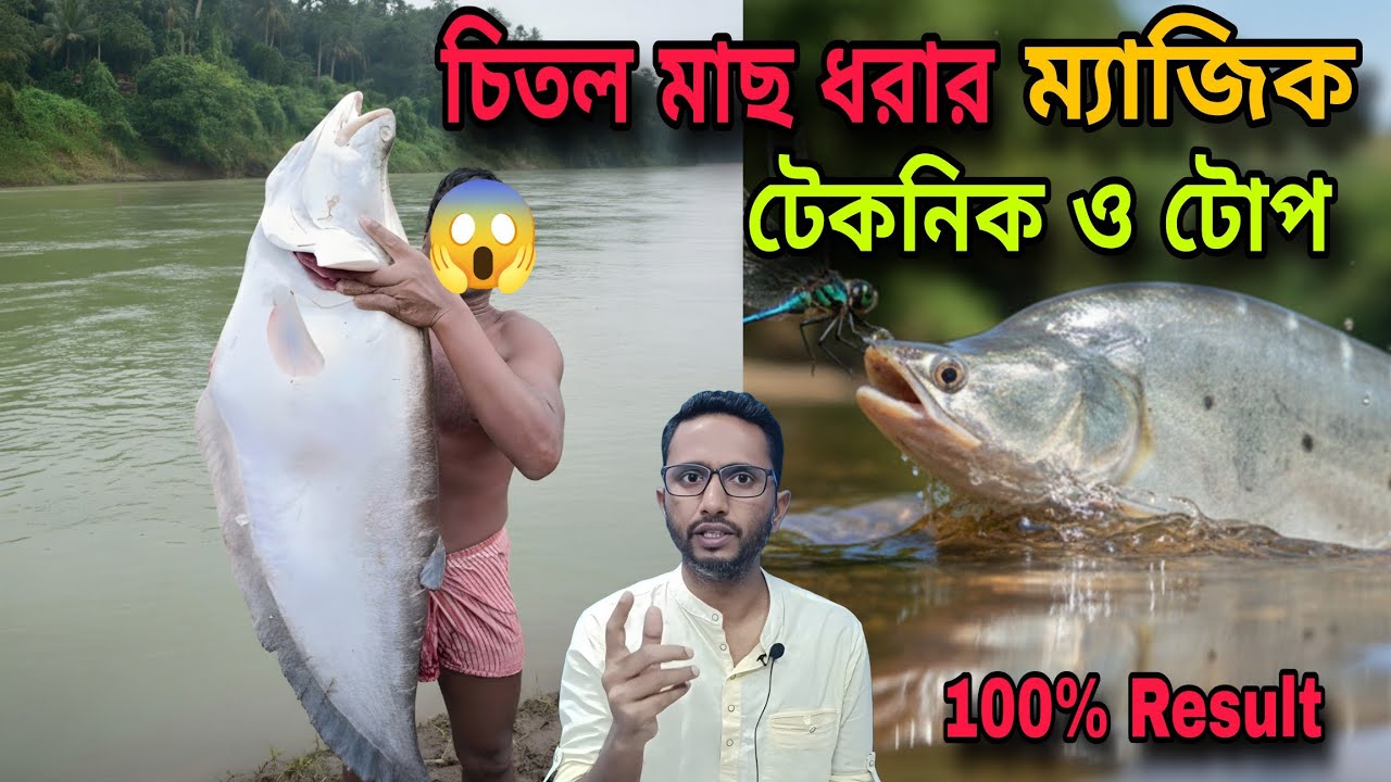 চিতল মাছ ধরার ম্যাজিক টেকনিক ও টোপ‼️Chitol mach dhorar top and technique|Hook fishing 