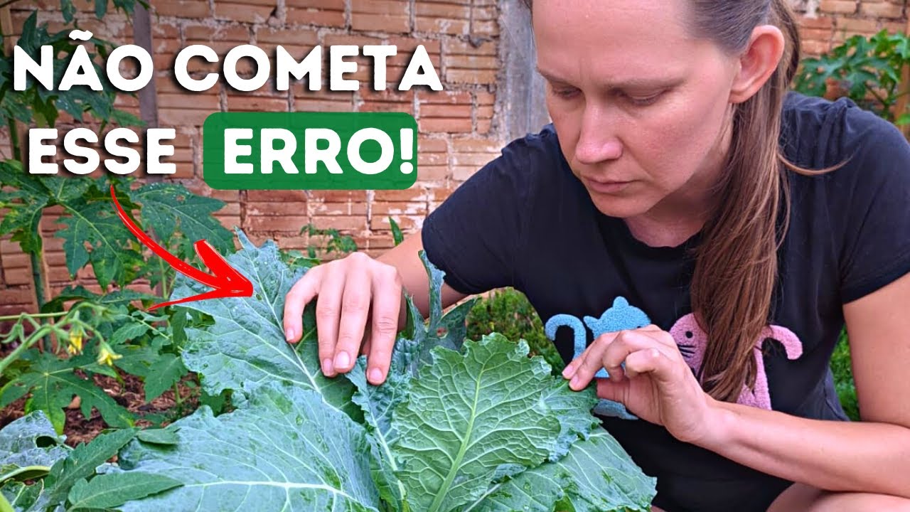10 Piores Erros que Você pode Cometer na Horta em Casa 🌱