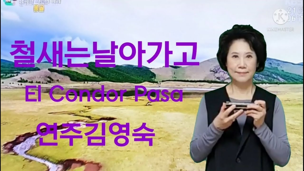 철새는날아가고 김영숙(한울)하모니카 Am&C키 바이브레이션 베이스 트레몰로 5도 8도 3도  아르페지오