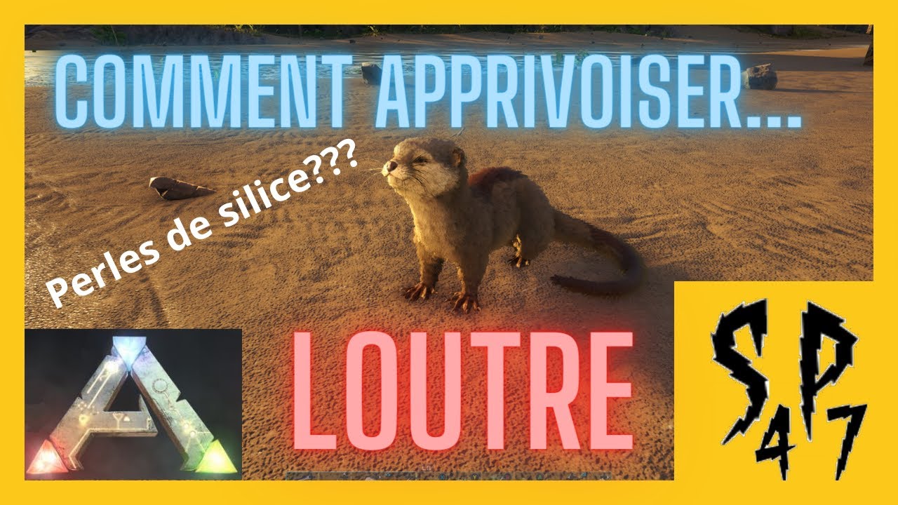 Comment apprivoiser une Loutre | Ark survival evolved | [TUTO]