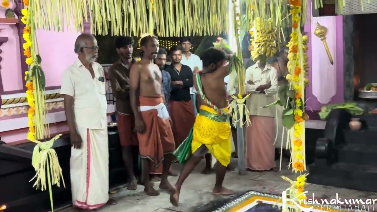 ഹനുമാൻ അല്ലെന്നു ആരും പറയില്ല | വായു പുത്രന്റെ വരവ് കണ്ടുനോക്കു 