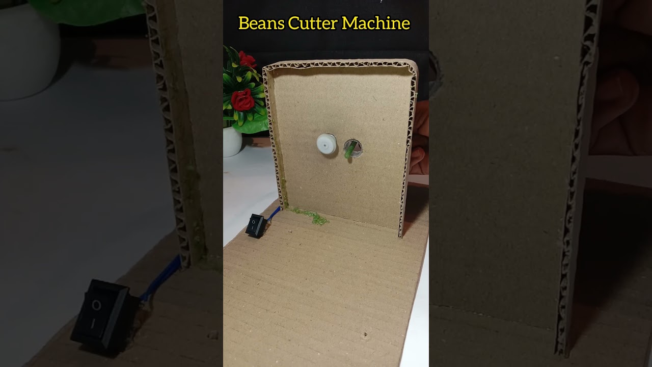 Beans Cutter Machine at Home