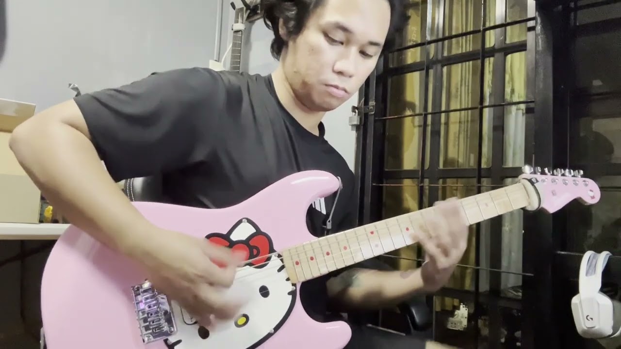 BIRDS - TURNSTILE Guitar Cover