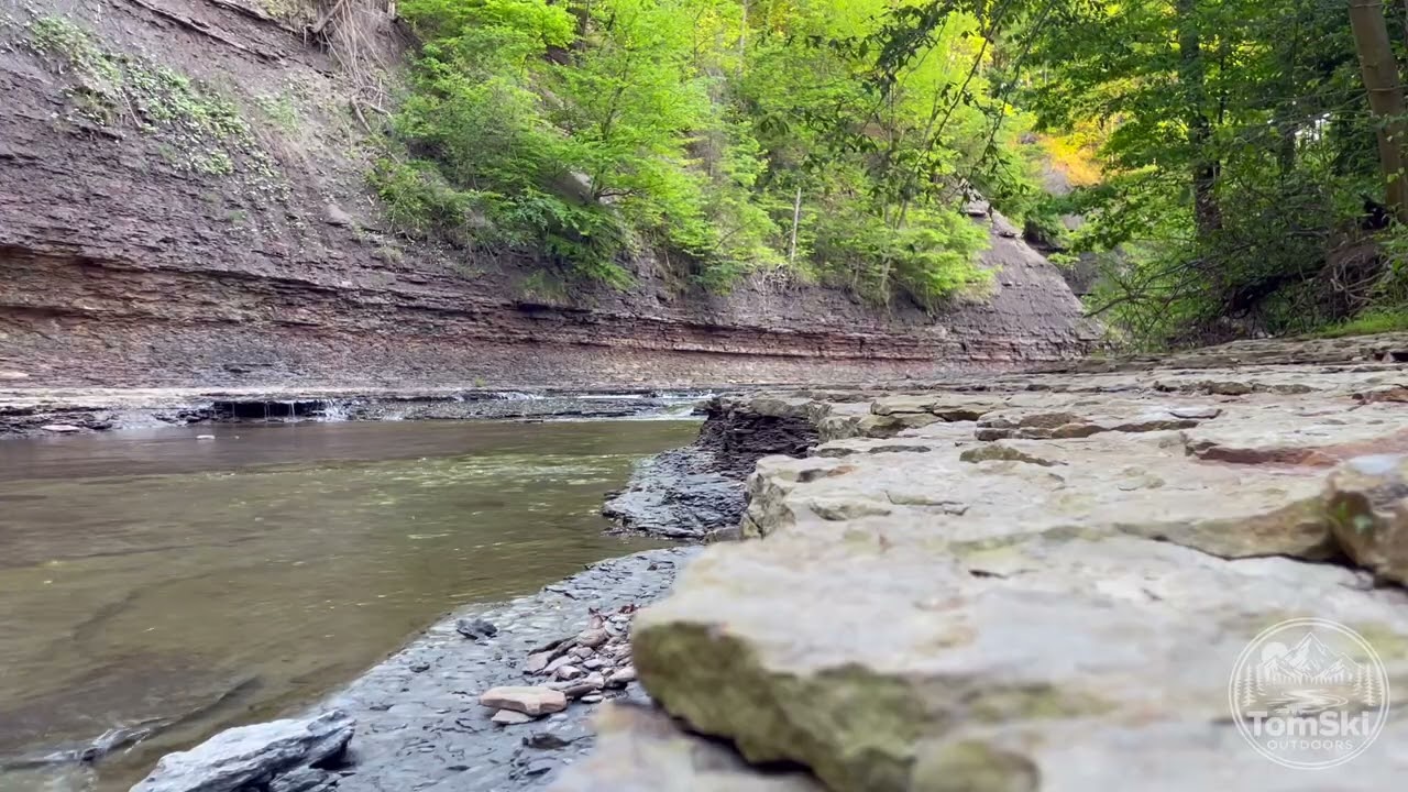 HD Nature Scene - Mill Creek Upstream