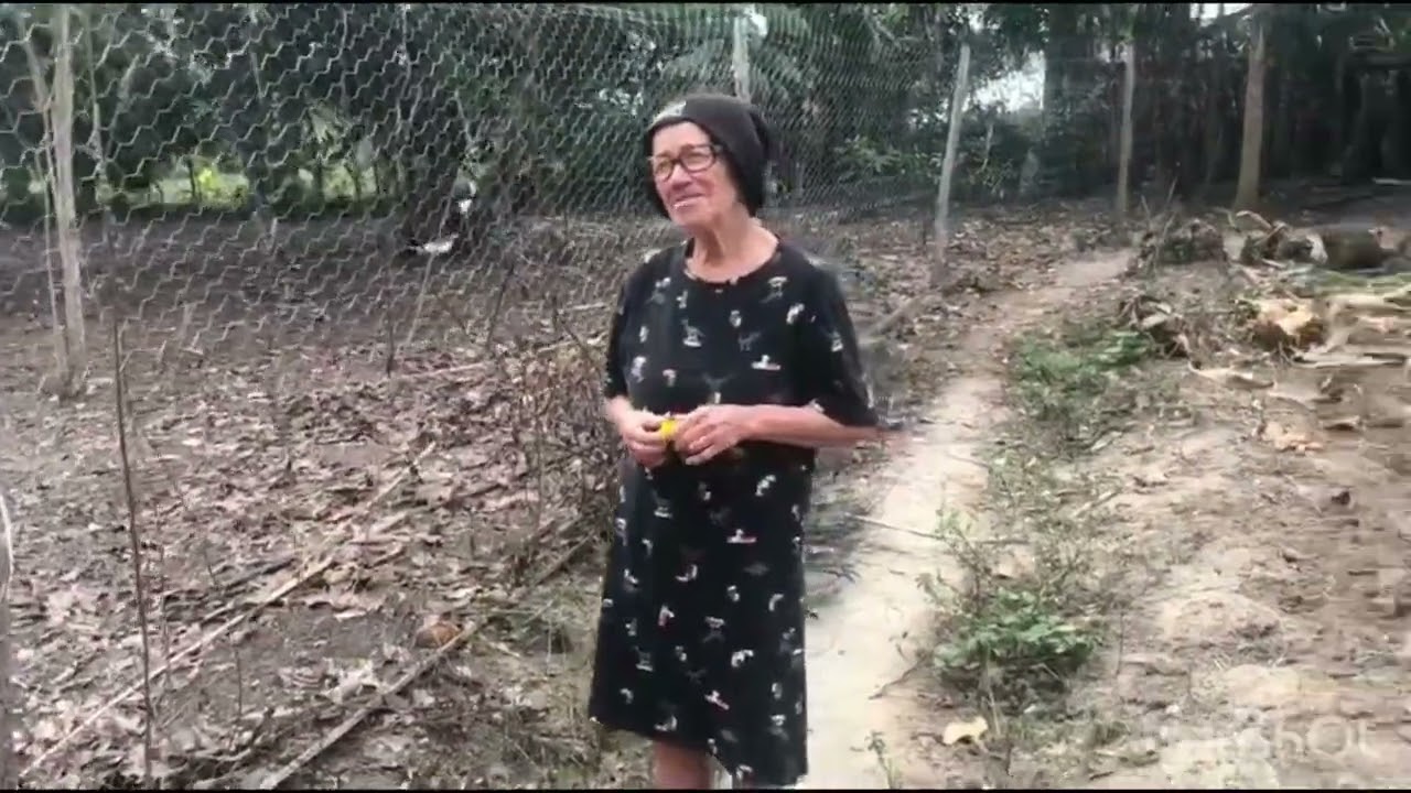 Sítio part2
