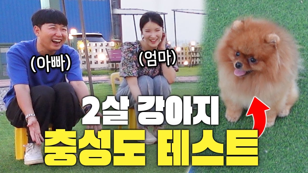 엄마가 좋아? 아빠가 좋아?