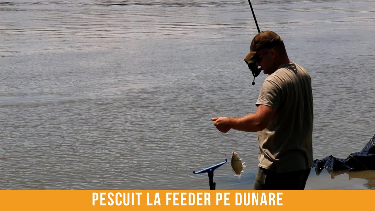 Pescuit la feeder pe Dunare presarat cu discutii interesante si sfaturi utile!