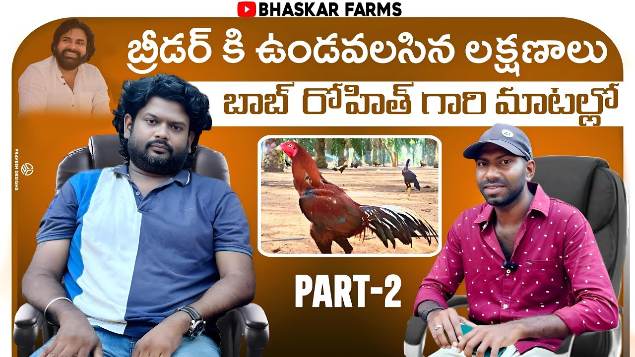 బ్రీడర్ కి ఉండవలసిన లక్షణాలు ||బాబ్ రోహిత్ గారి మాటలో
