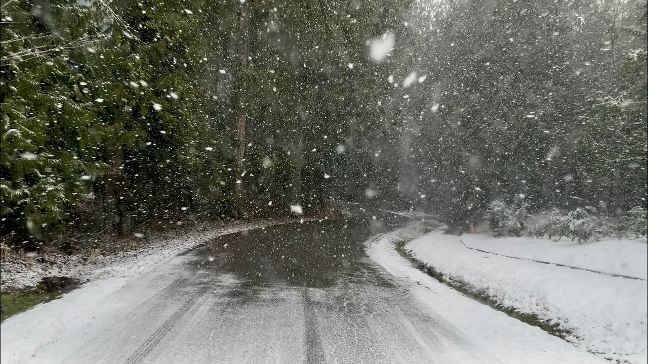 Snowing day in snohomish county