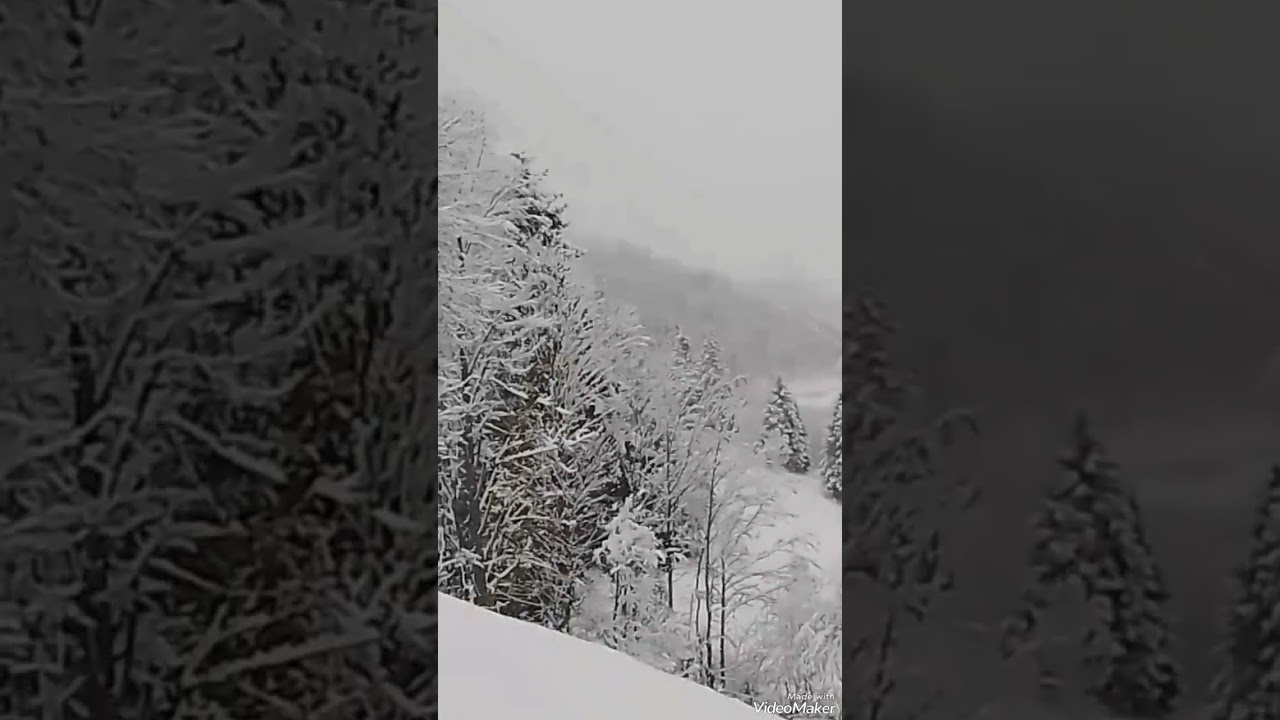 🎬🎥❄️🚶 TRABZON TONYA KALIN&Ccedil;AM K&Ouml;Y&Uuml;🌲🌍🇹🇷🌲🌲🌲