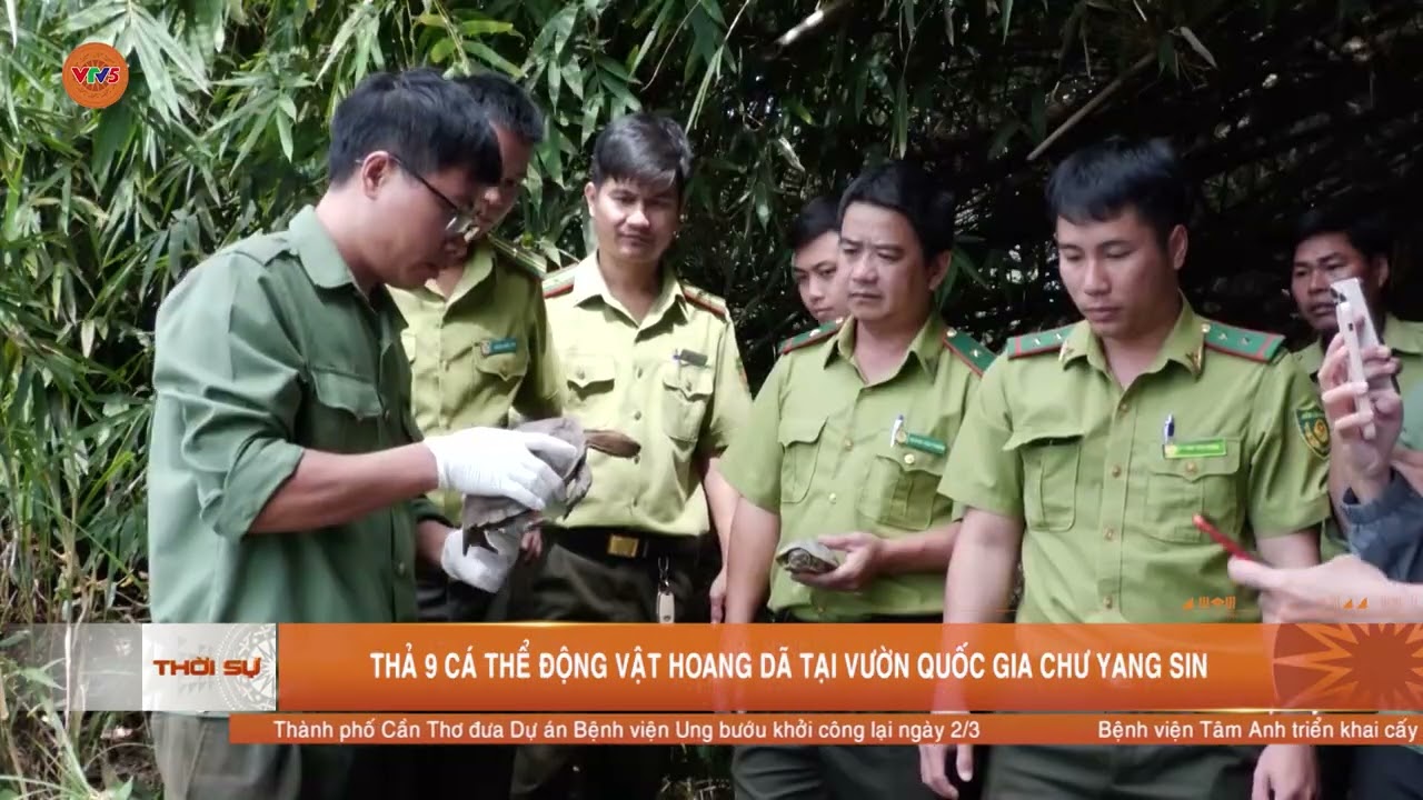 THẢ 9 CÁ THỂ ĐỘNG VẬT HOANG DÃ TẠI VƯỜN QUỐC GIA CHƯ YANG SIN | VTV5