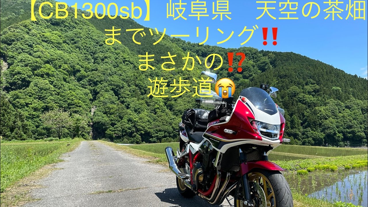 【CB1300sb】岐阜県マチュピチュ天空の茶畑ソロツーリング！まさかの⁉️遊歩道😭#cb1300sb  #岐阜県　#マチュピチュ天空の茶畑　#遊歩道😭　#プチ登山