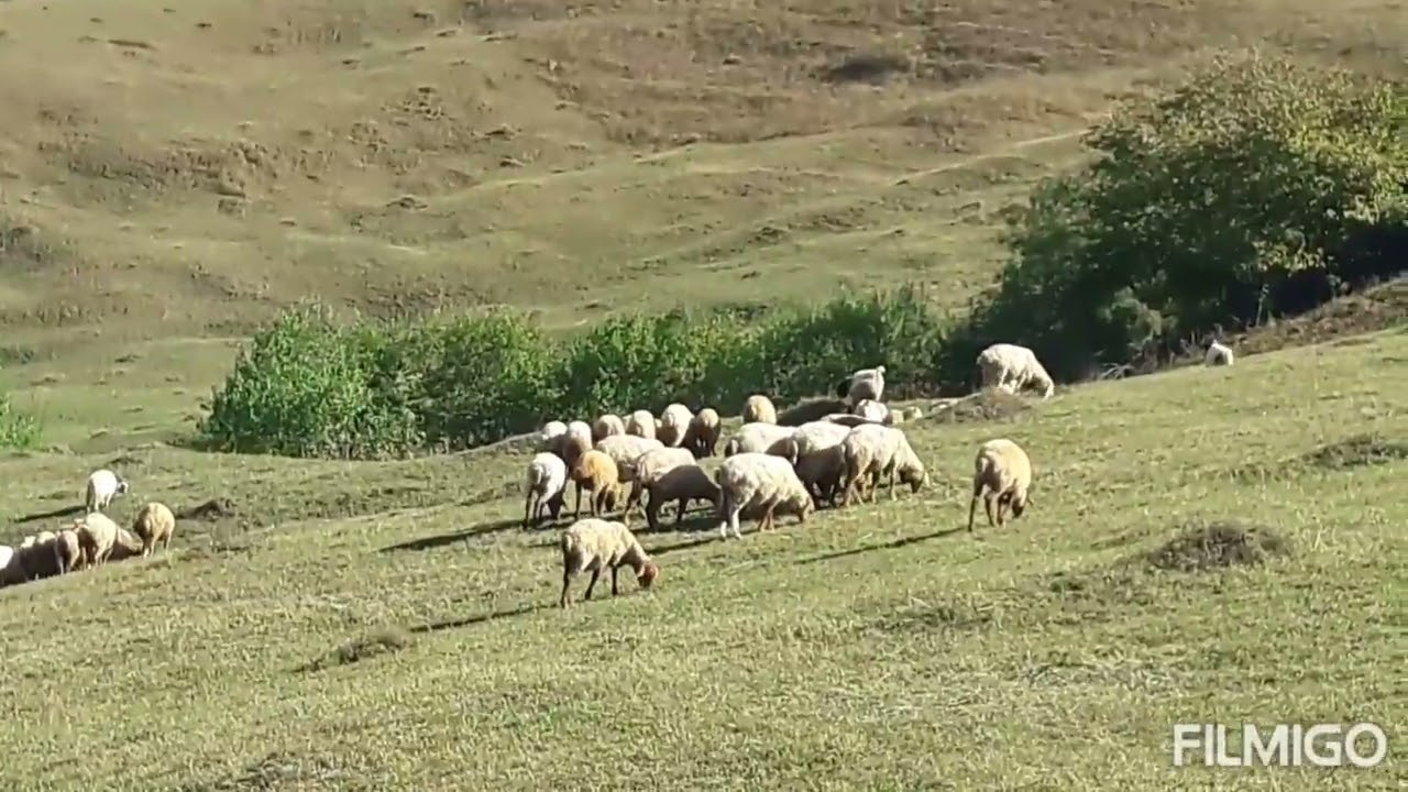 ✊Qusar rayon Zindan Muruq✊kəndi