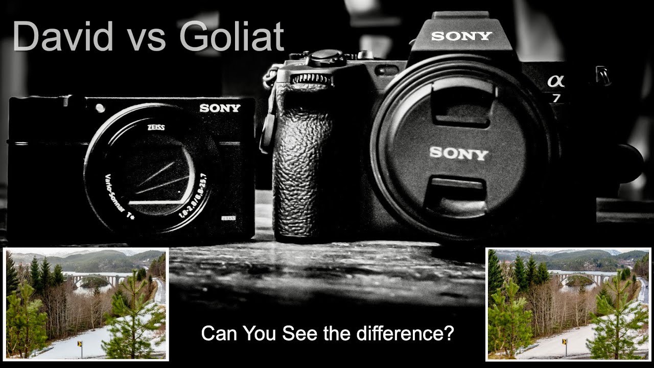 Sony RX 100 III vs Sony A7IIII, one picture