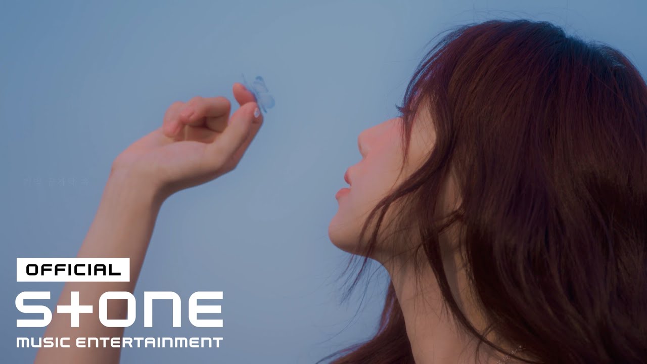 최인경 (Choi Ingyeong) - Butterfly Lyric Video