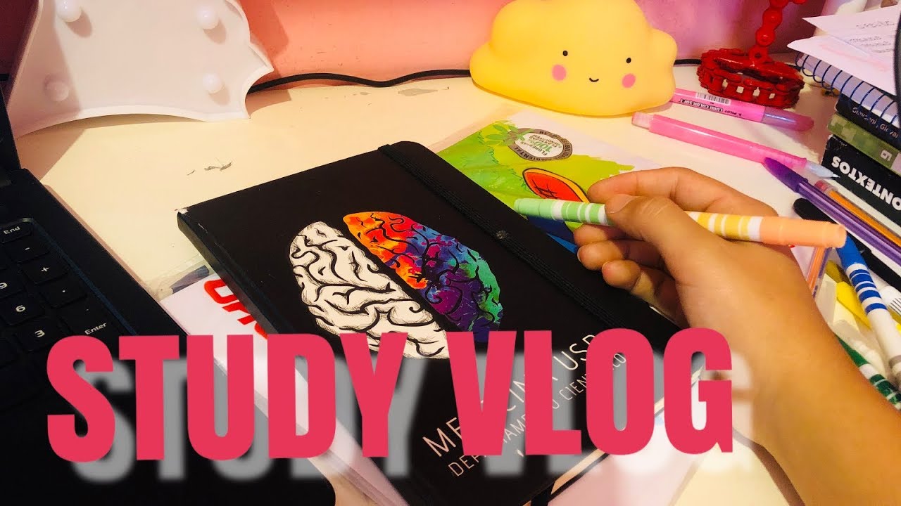 STUDY VLOG|| (muitos exercícios e mapas mentais)