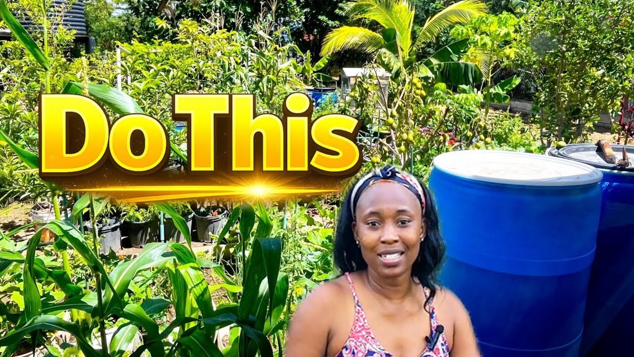 Turn Your Backyard into a Lush Food Forest Without Breaking the Bank💰