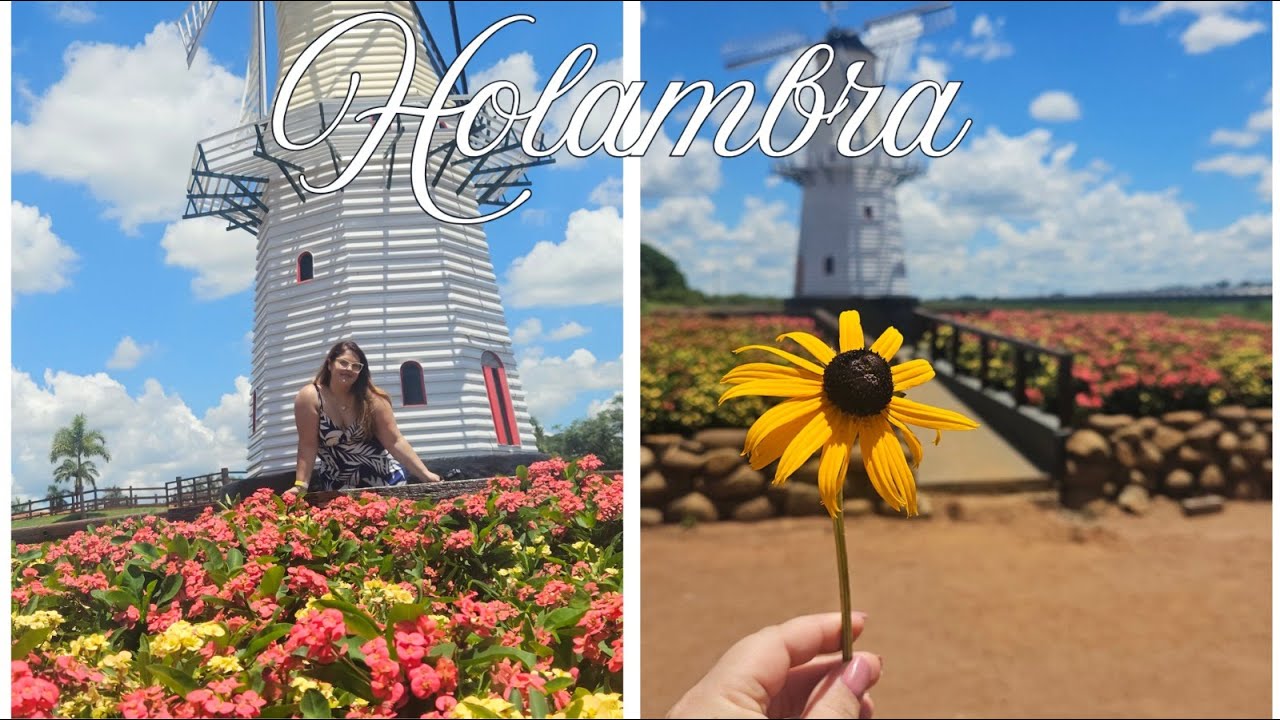 Um dia em Holambra | flores, gastronomia e charme holandês