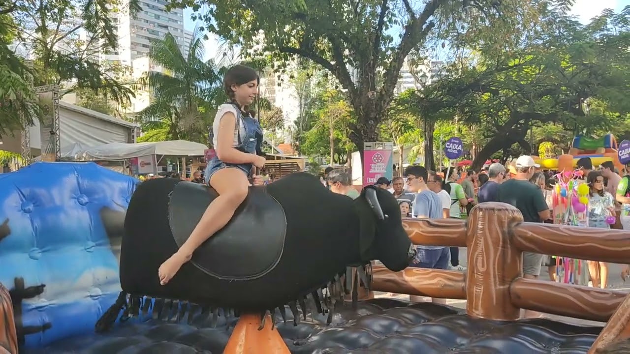 Touro mecânico 3 !!!