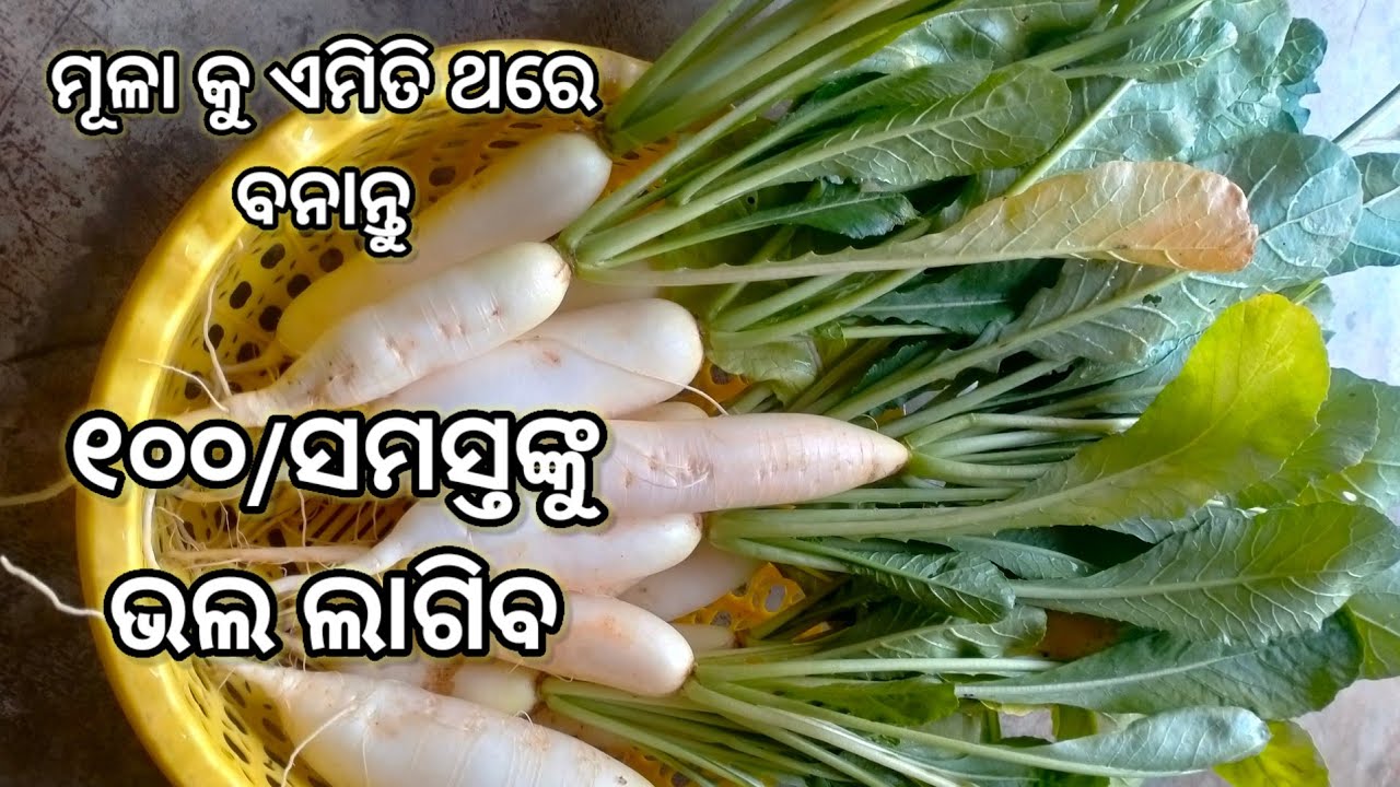ଭାବି ନଥିଲି ପିଲାମାନଙ୍କୁ ଏତେ ଭଲ ଲାଗିବ ‼️ ସମସ୍ତେ ଖାଇଲି ପ୍ରଶଂସା କଲେ #radish resipi #mulacury 