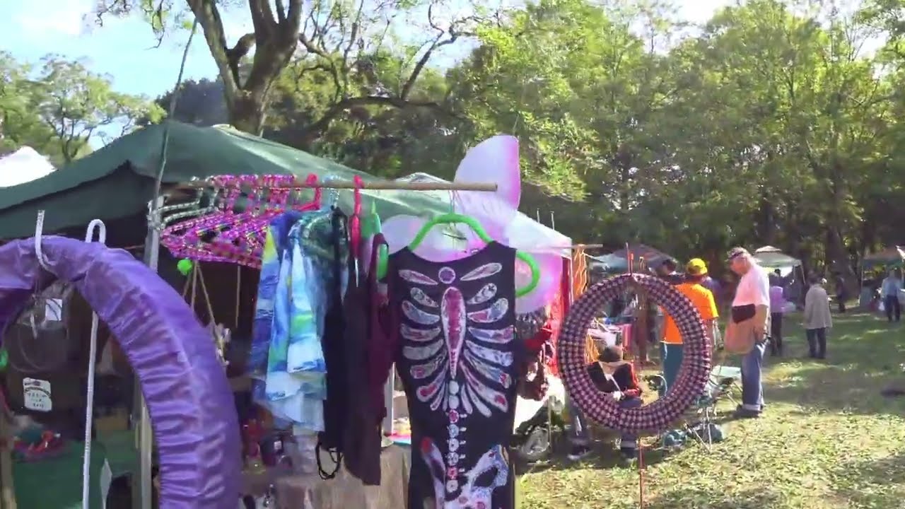 第29回武蔵野はらっぱ祭り 一日目 2017.11.4