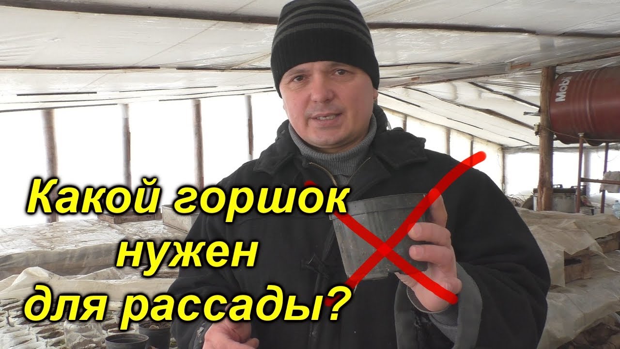 Не делайте ошибок! Сколько почвы нужно для шикарной рассады?