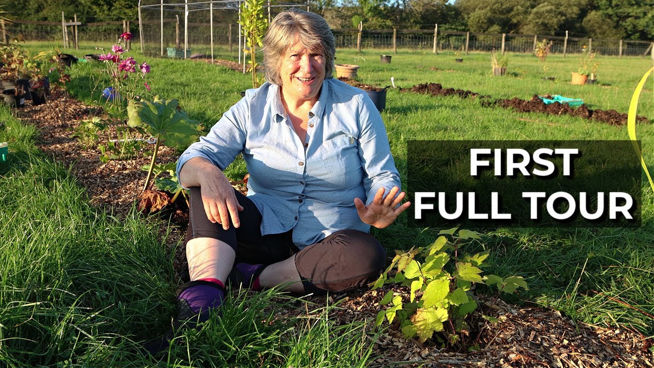 Food Forest Tour | Full tour of brand new forest garden (September 2021)