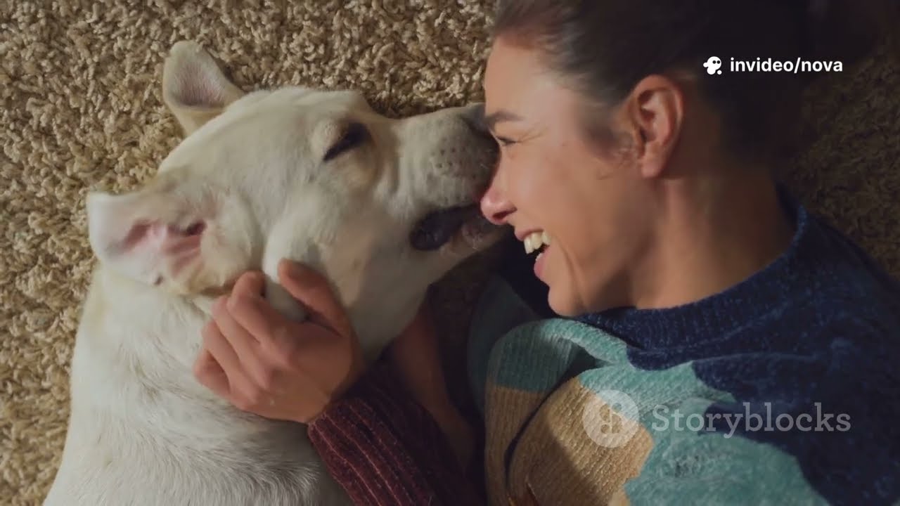 The World's Most Exotic Dogs Explained