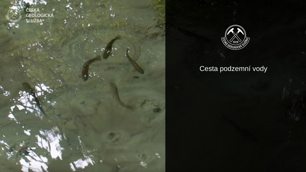 Cesta podzemní vody