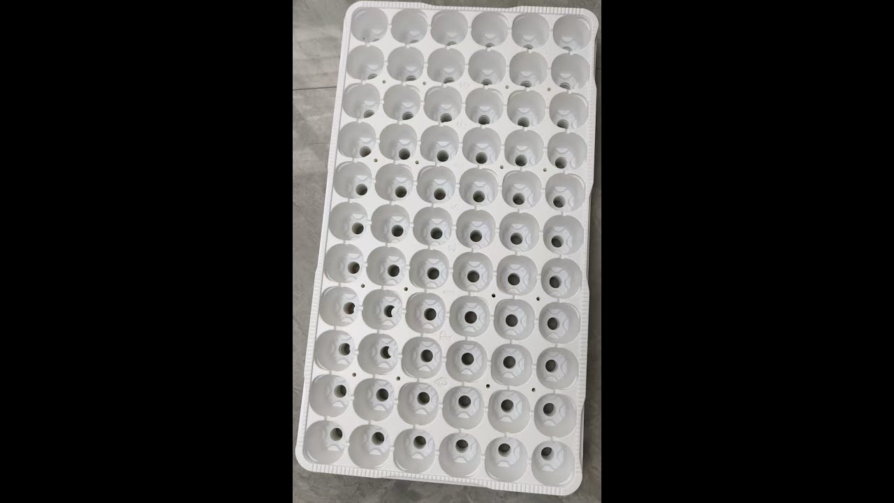 66 Holes Seeding Tray made by FSCT-680/450-4