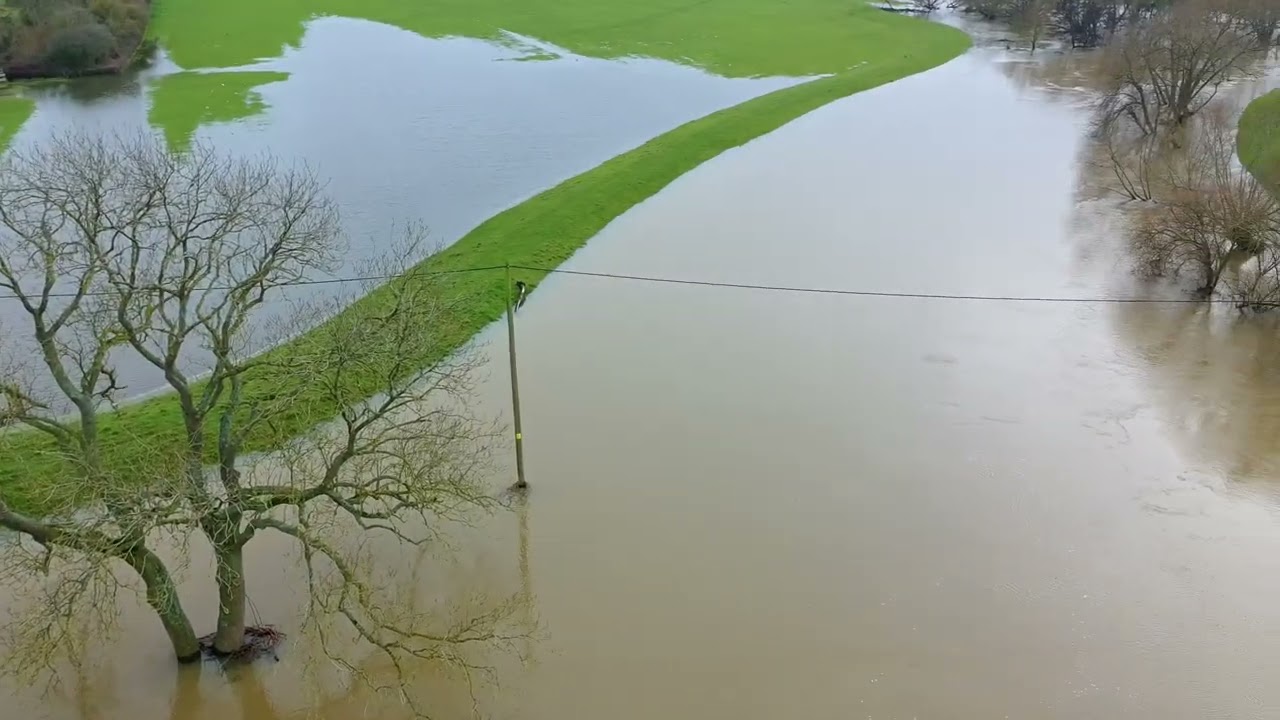 Coates Bridge in moderate flood