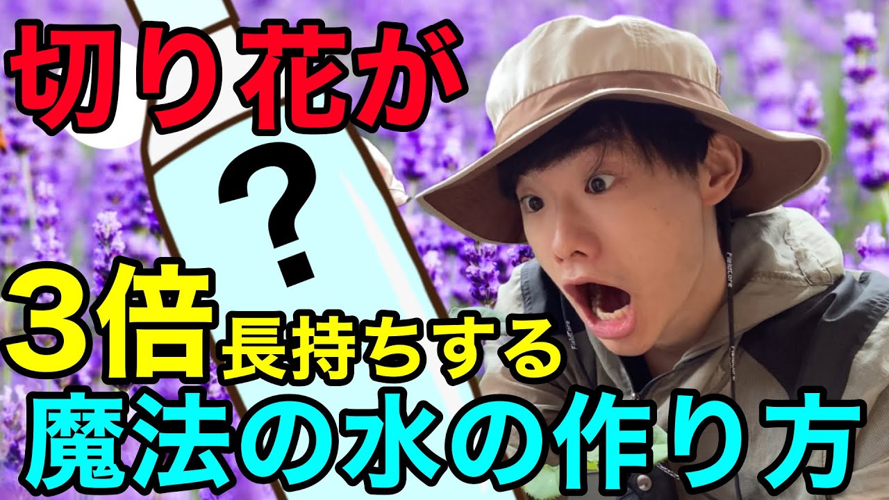 【3倍長持ち！】切り花を1日でも長く楽しみたい方は必ず見てください！【花瓶】【生花】【園芸】【ガーデニング 】【裏技】