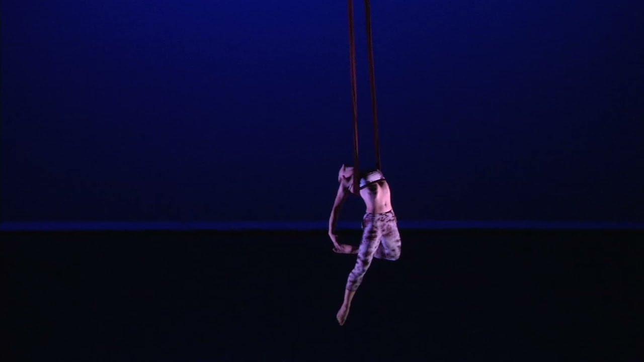 Phantom Limb