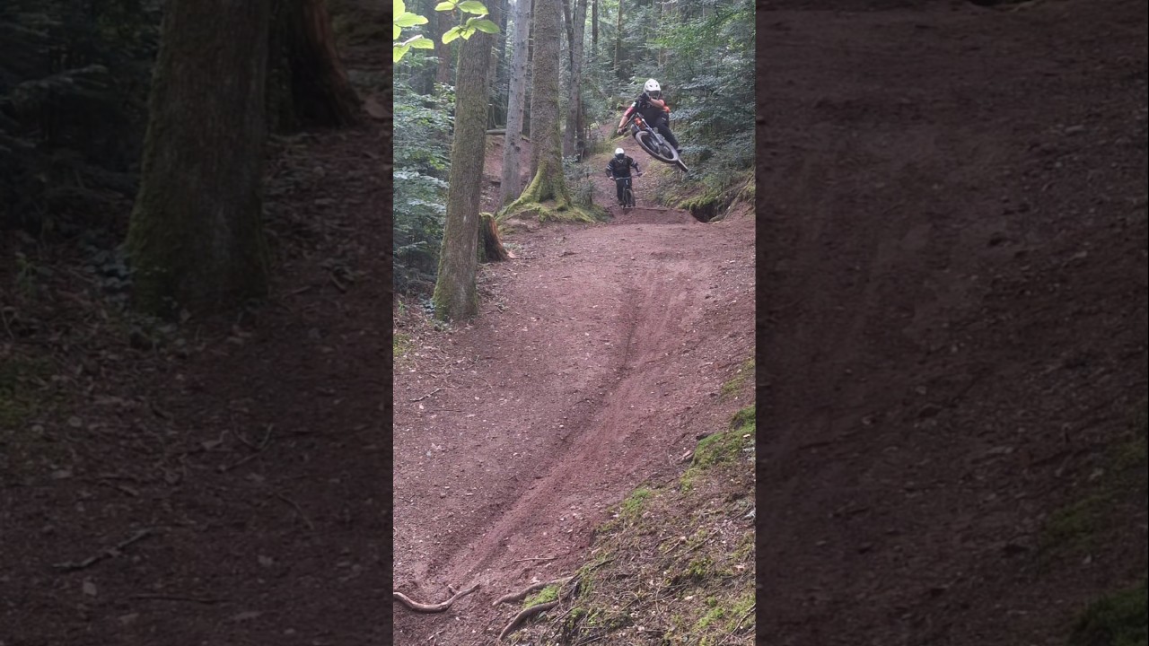 afternoon DH 